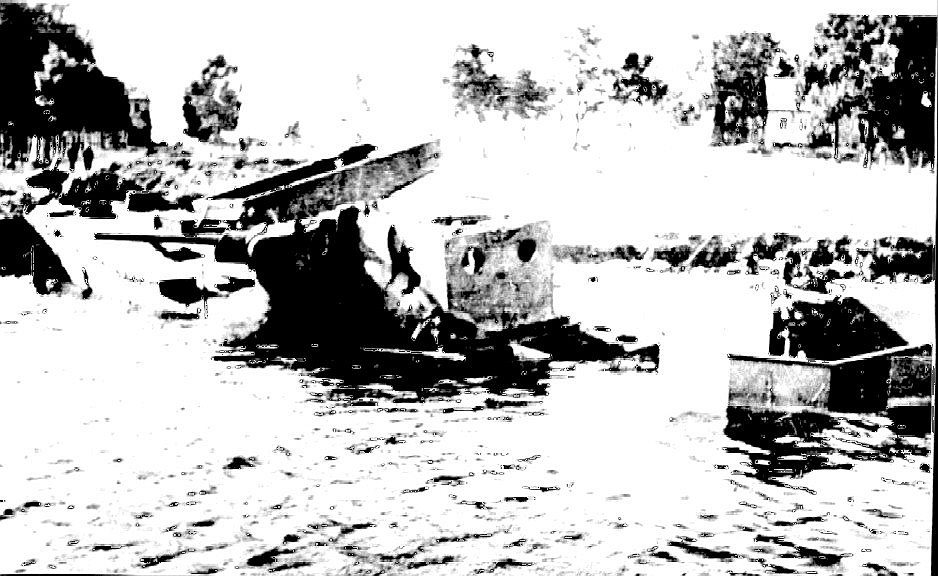204.jpg