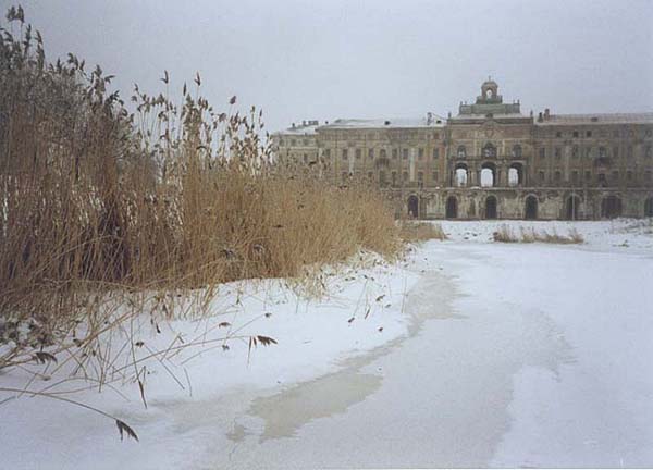 35.jpg