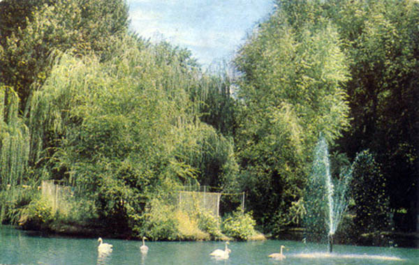 stpark3.jpg
