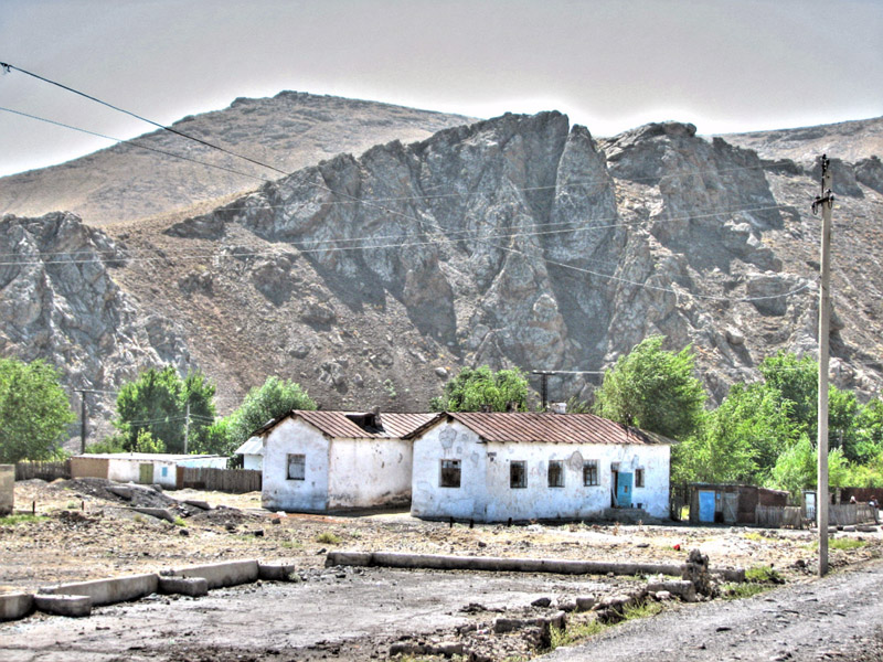 gori8.jpg