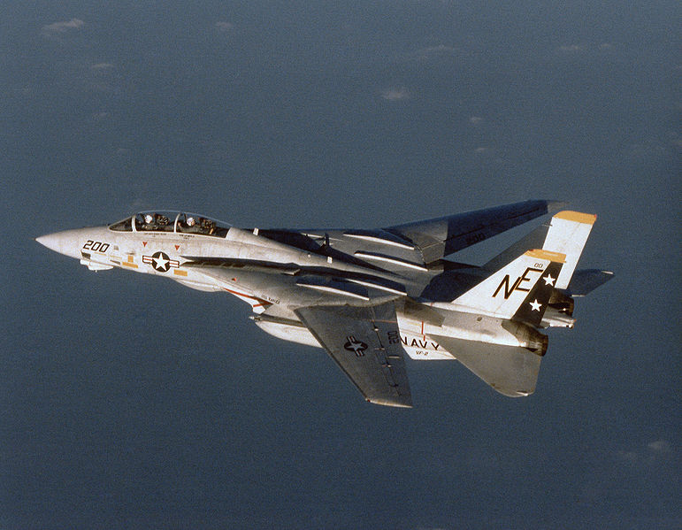 tomcat.jpg